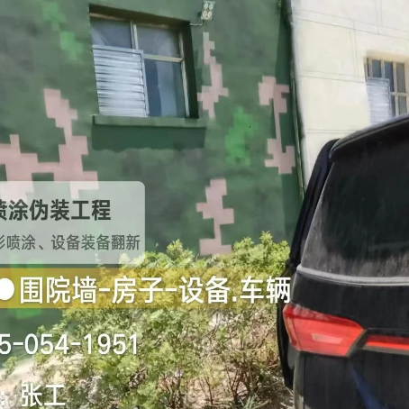 宝坻数码迷彩漆施工